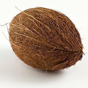 murder coconut