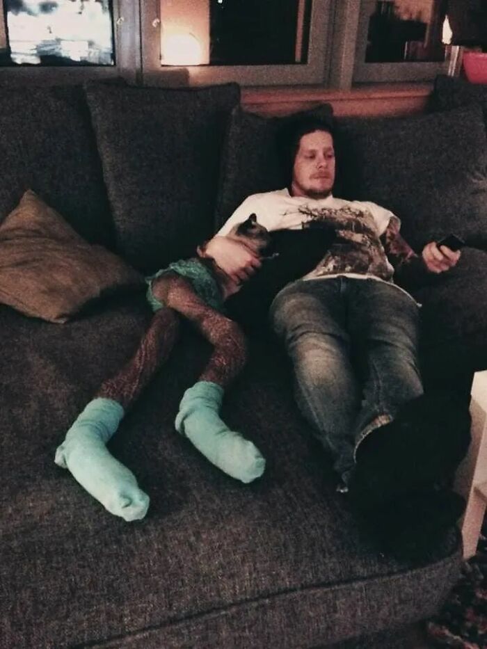 25 Cats That Amazed Everyone By Wearing Tights