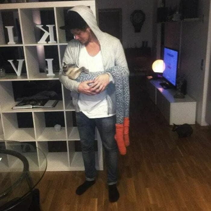 25 Cats That Amazed Everyone By Wearing Tights