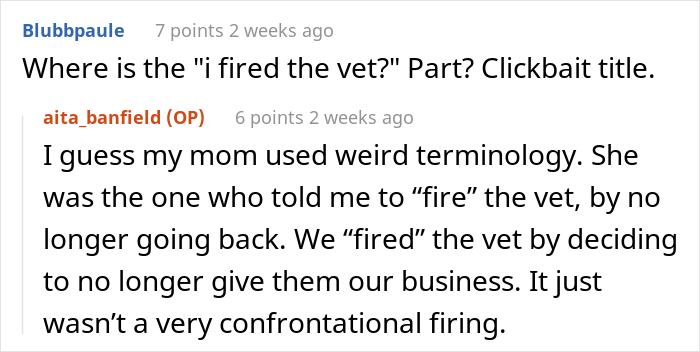“AITA For Firing My Vet After The Way The Nurse Spoke To Me?”