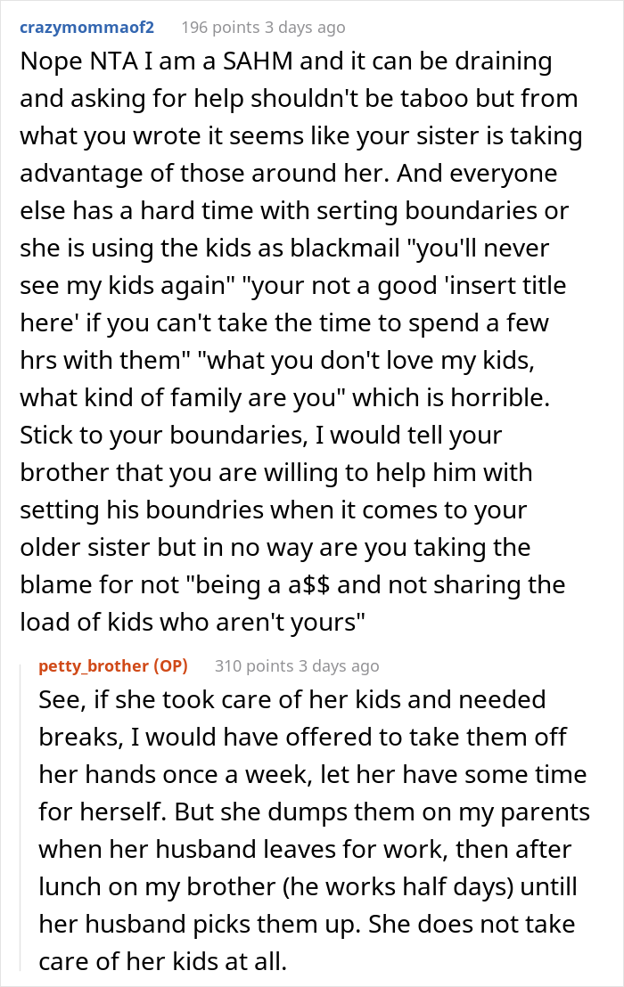 Woman Upset As Her Younger Brother Flatly Declares He’s Not A Nanny For Her 3 Kids, Calls Him A Jerk
