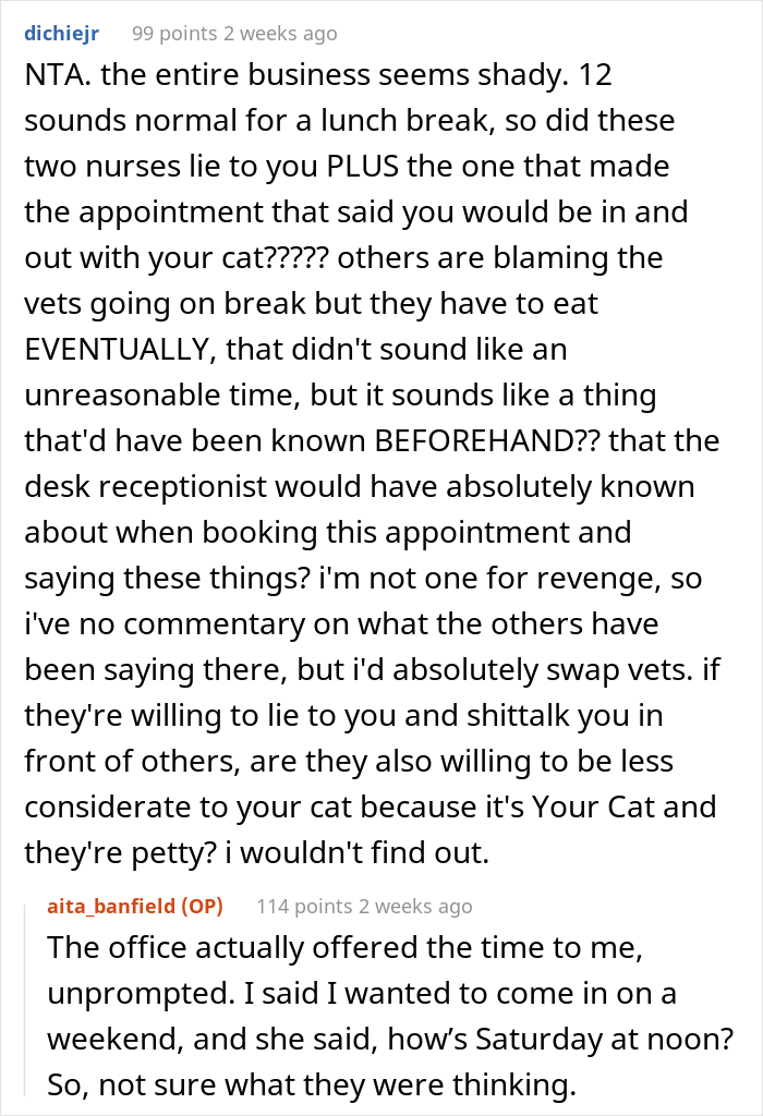 “AITA For Firing My Vet After The Way The Nurse Spoke To Me?”