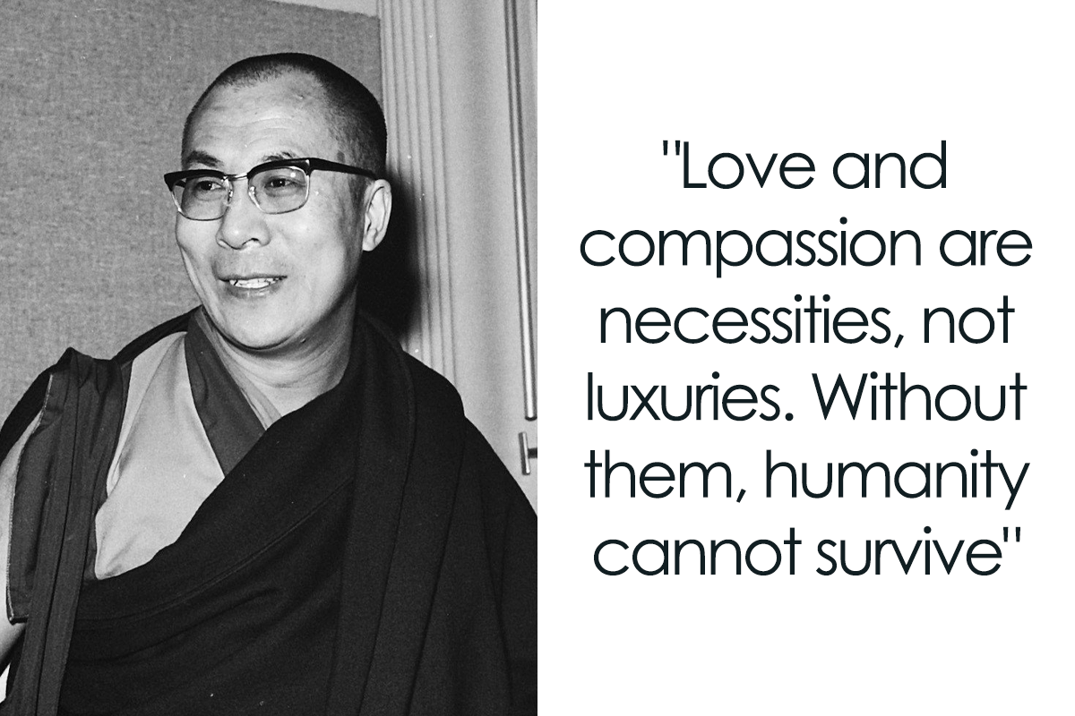 156 Compassion Quotes That Might Restore Your Faith In Humanity | Bored  Panda