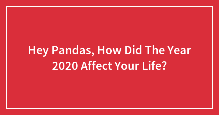 Hey Pandas, How Did The Year 2020 Affect Your Life? (Closed)