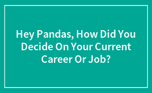 Hey Pandas, How Did You Decide On Your Current Career Or Job?