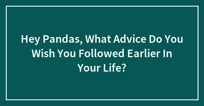 Hey Pandas, What Advice Do You Wish You Followed Earlier In Your Life? (Closed)