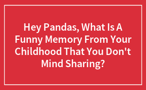 Hey Pandas, What Is A Funny Memory From Your Childhood That You Don't Mind Sharing?