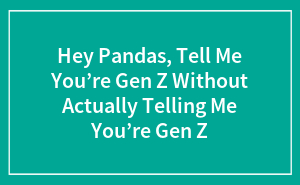 Hey Pandas, Tell Me You’re Gen Z Without Actually Telling Me You’re Gen Z