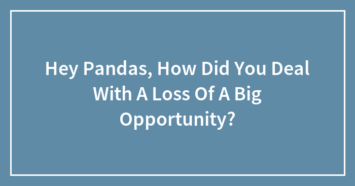 Hey Pandas, How Did You Deal With A Loss Of A Big Opportunity?