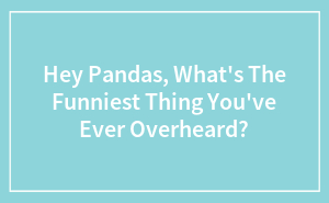 Hey Pandas, What's The Funniest Thing You've Ever Overheard?