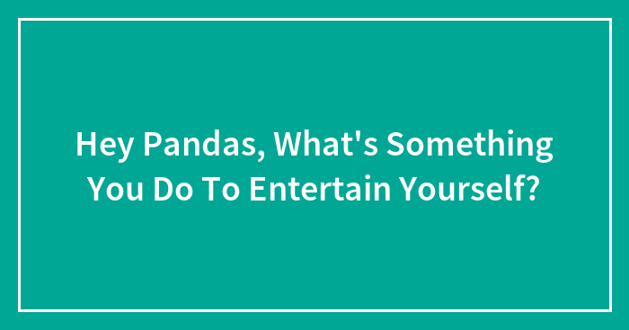 Hey Pandas, What’s Something You Do To Entertain Yourself? (Closed)