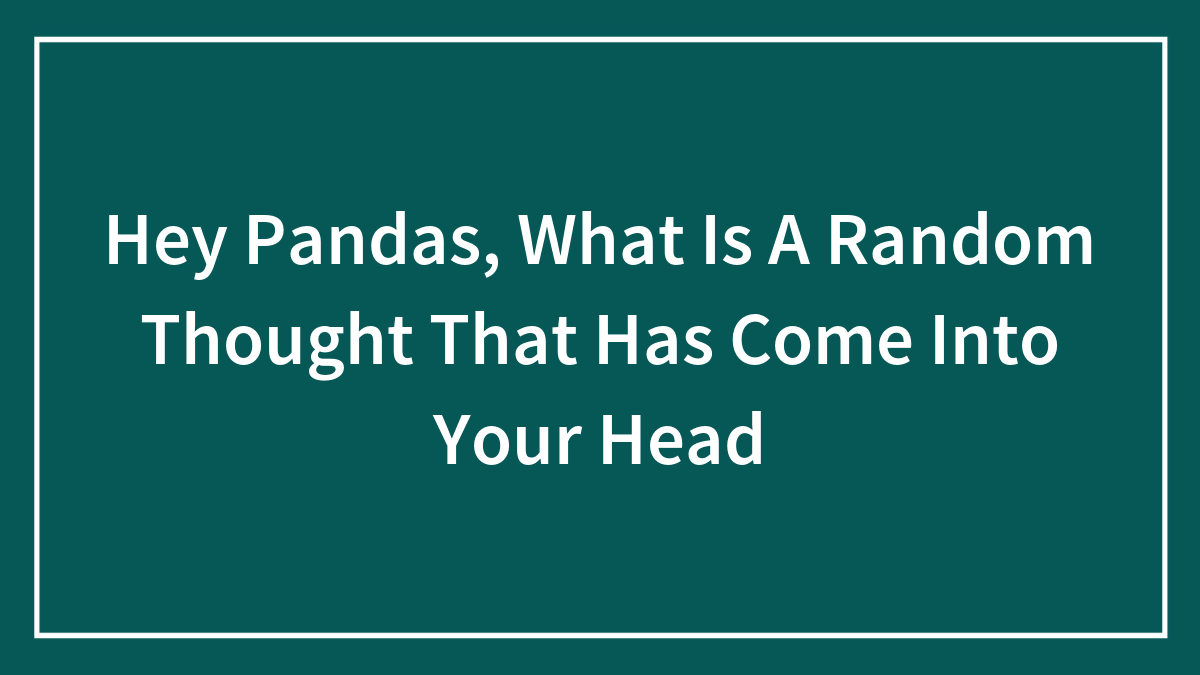Hey Pandas, What Is A Random Thought That Has Come Into Your Head?