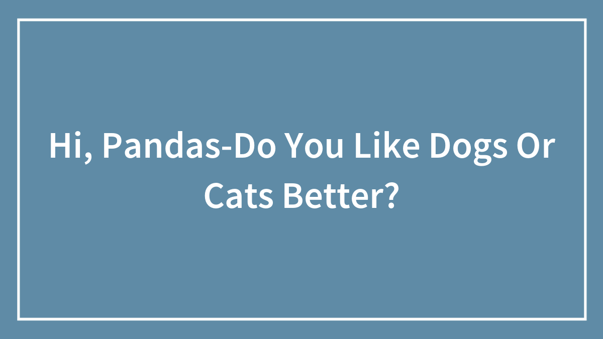 Hi, Pandas-Do You Like Dogs Or Cats Better?