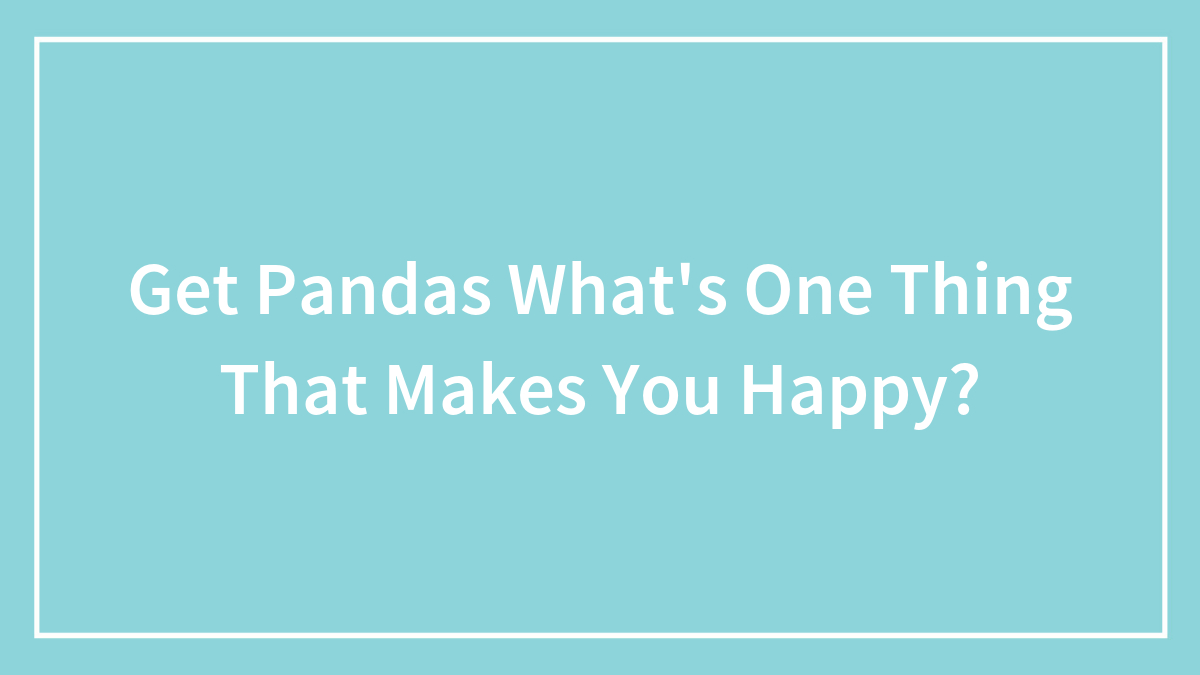 Get Pandas What’s One Thing That Makes You Happy?