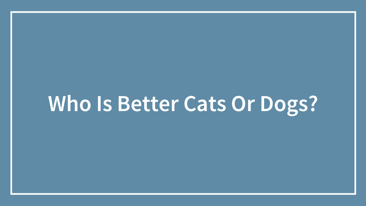 Who Is Better Cats Or Dogs?