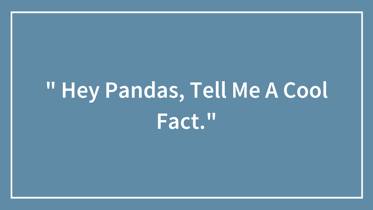 ” Hey Pandas, Tell Me A Cool Fact.” (Closed)
