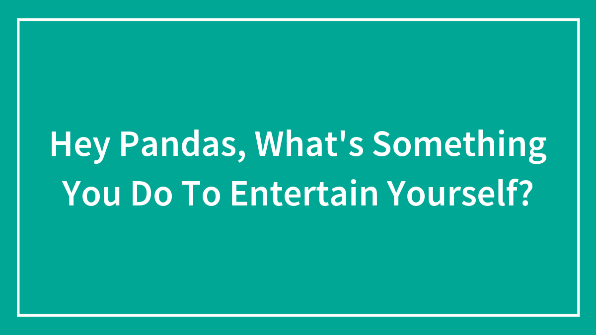 Hey Pandas, What’s Something You Do To Entertain Yourself? (Closed)