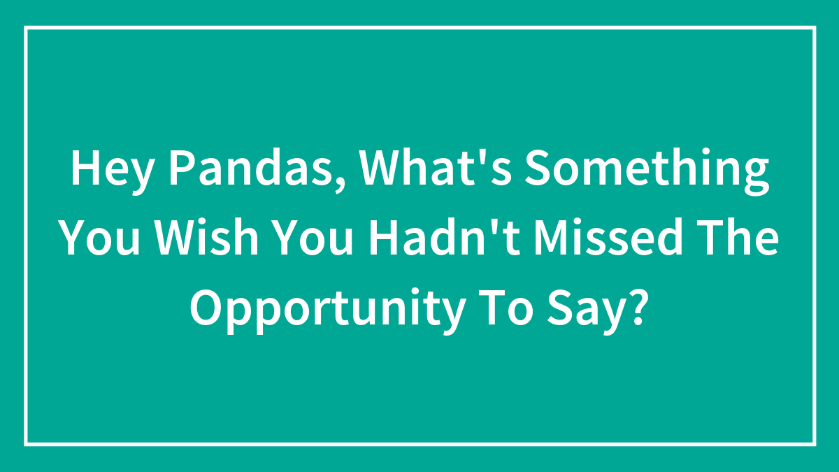 Hey Pandas, What’s Something You Wish You Hadn’t Missed The Opportunity To Say?