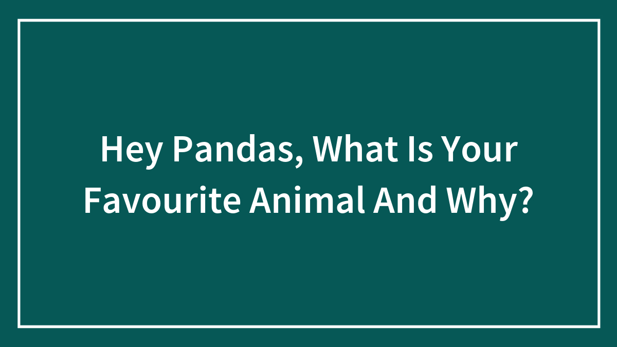 Hey Pandas, What Is Your Favourite Animal And Why?