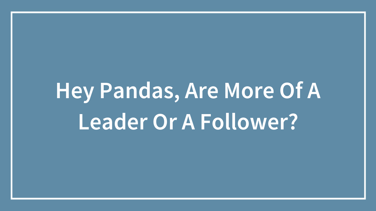 Hey Pandas, Are More Of A Leader Or A Follower?