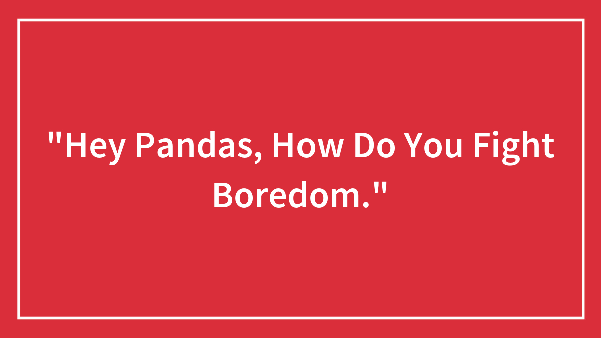 “Hey Pandas, How Do You Fight Boredom.”