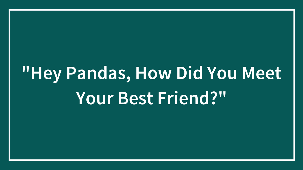 “Hey Pandas, How Did You Meet Your Best Friend?”