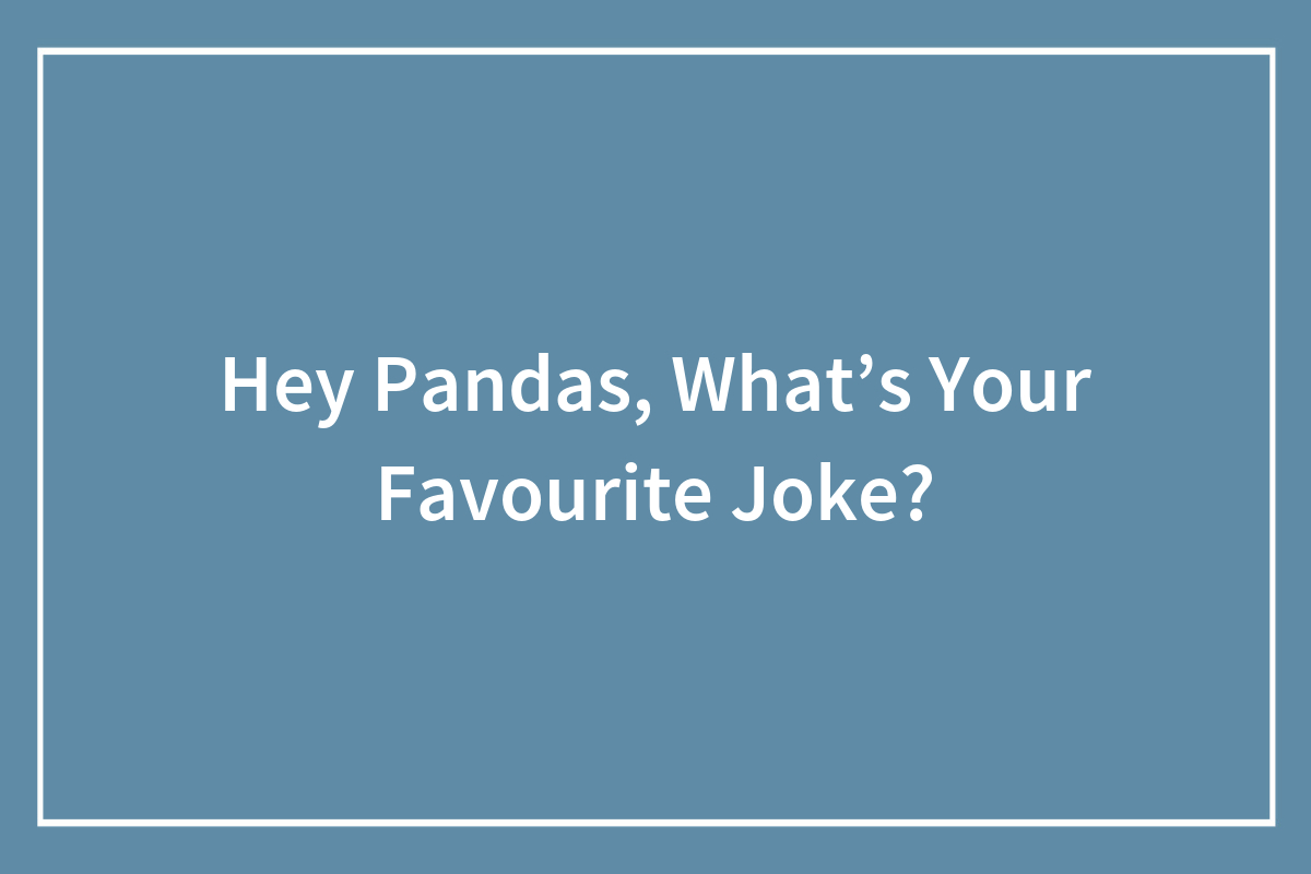Hey Pandas, What's Your Favourite Joke? Bored Panda