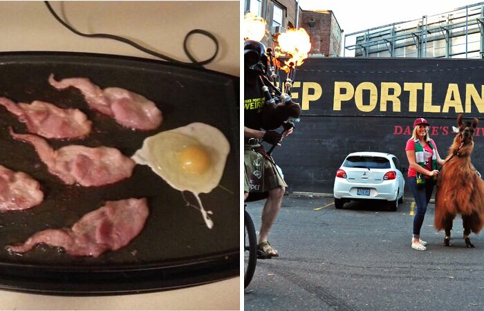 Hey Pandas, Send The Weirdest Things You Have Screenshots Of (Closed)