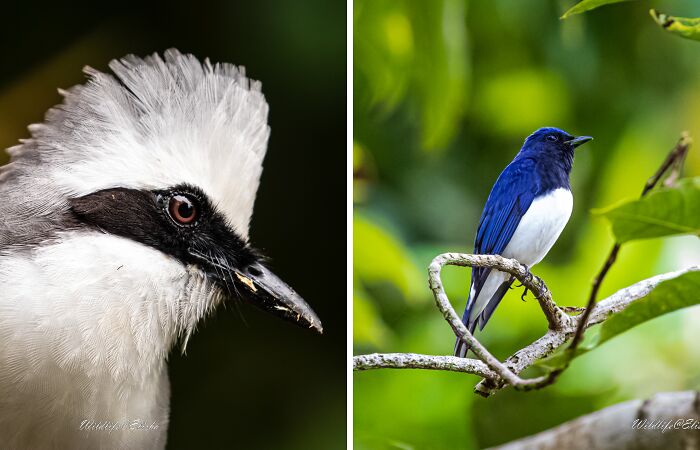 My Photography Story (4 Pics)