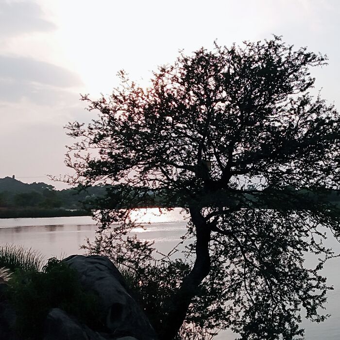 My Last Week Tour At Misriot Dam