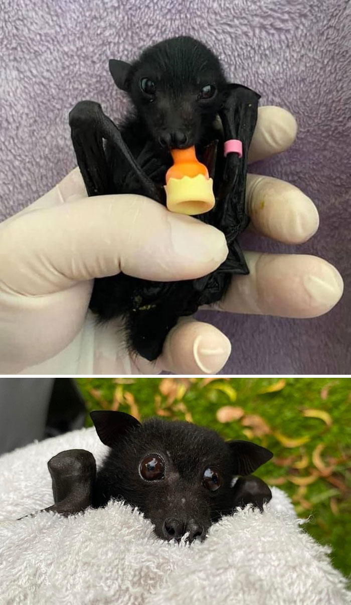 Started From The Bottom Now We’re Here!