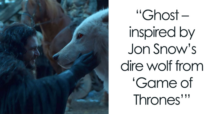 135 Unique and Cute Pet Names To Melt Your Heart