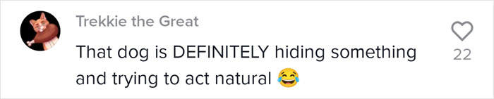 Dog Goes Viral For Photobombing Its Owners’ Wedding Picture, Others Share Their Own Pics Dog Goes Viral For Photobombing Its Owners’ Wedding Picture, Others Share Their Own Pics