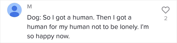 Dog Goes Viral For Photobombing Its Owners’ Wedding Picture, Others Share Their Own Pics Dog Goes Viral For Photobombing Its Owners’ Wedding Picture, Others Share Their Own Pics