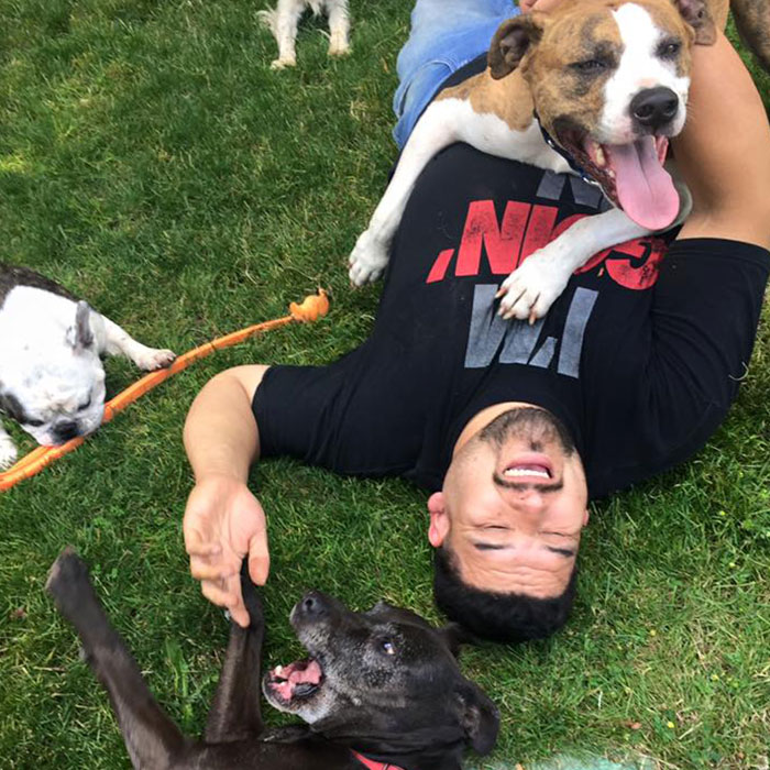 “My Dog Isn't Lonely At Home”: Adorable Doggy School Bus Picks Up Pups Every Day And Takes Them To Daycare “My Dog Isn't Lonely At Home”: Adorable Doggy School Bus Picks Up Pups Every Day And Takes Them To Daycare