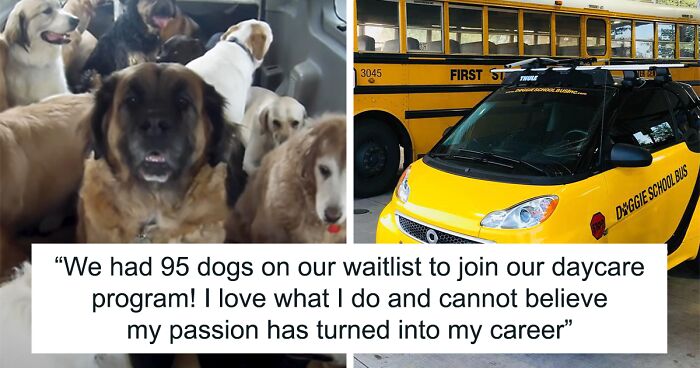 “My Dog Isn’t Lonely At Home”: Adorable Doggy School Bus Picks Up Pups Every Day And Takes Them To Daycare