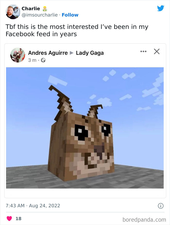 Facebook-Glitch-Celebrity-Feed-Reactions