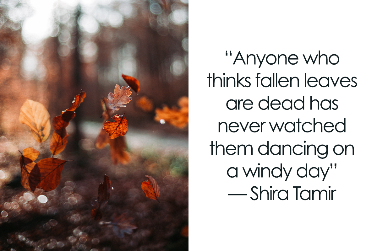 118 Fall Quotes That Might Make You Fall In Love With The Season | Bored  Panda