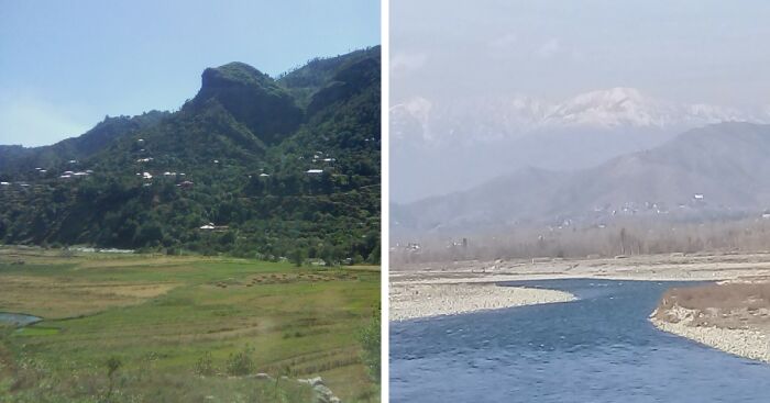 My Nature Photographs (5 Pics)