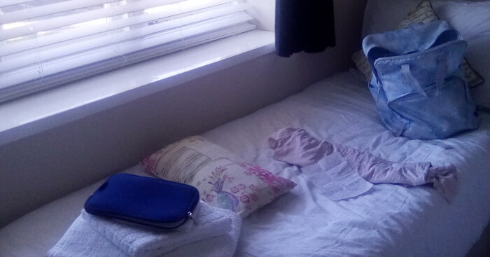 Hey Pandas, Show The Best Bed You’ve Slept In