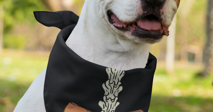 I Made Hiking Halloween Costumes For You And Your Dog