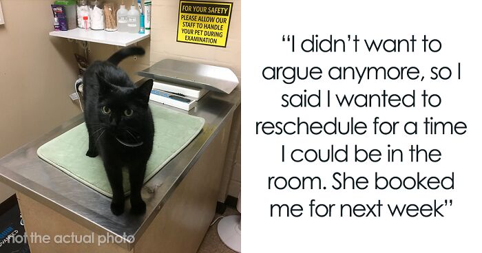 “AITA For Firing My Vet After The Way The Nurse Spoke To Me?”