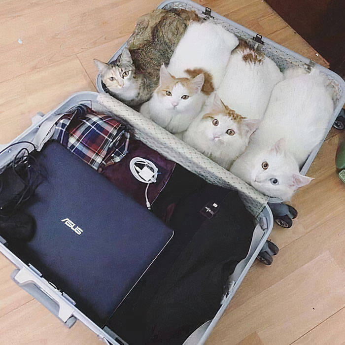 Don't Forget To Pack Your Loaves