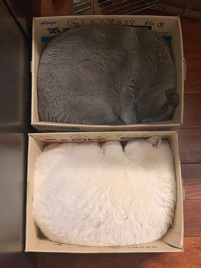 Perfect Fit