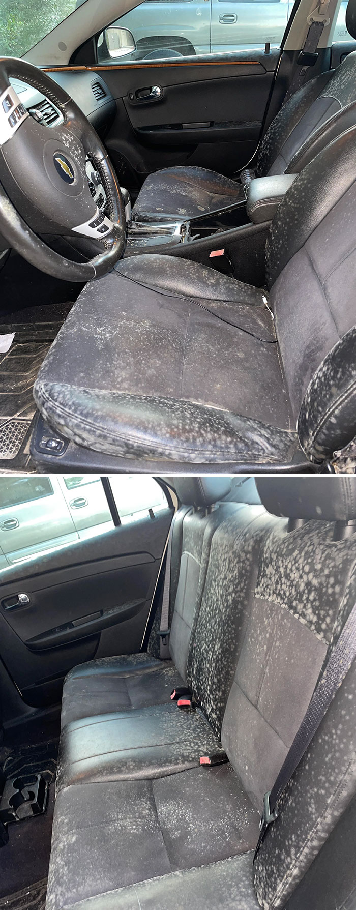 Left My Car Sitting At Work For A Little Over A Month. Went To Go Pick It Up Today And The Interior Is Covered In Mold. FML