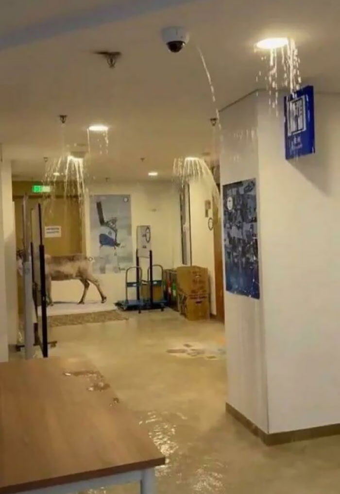 Finland's Olympic Athlete Dormitory In Beijing