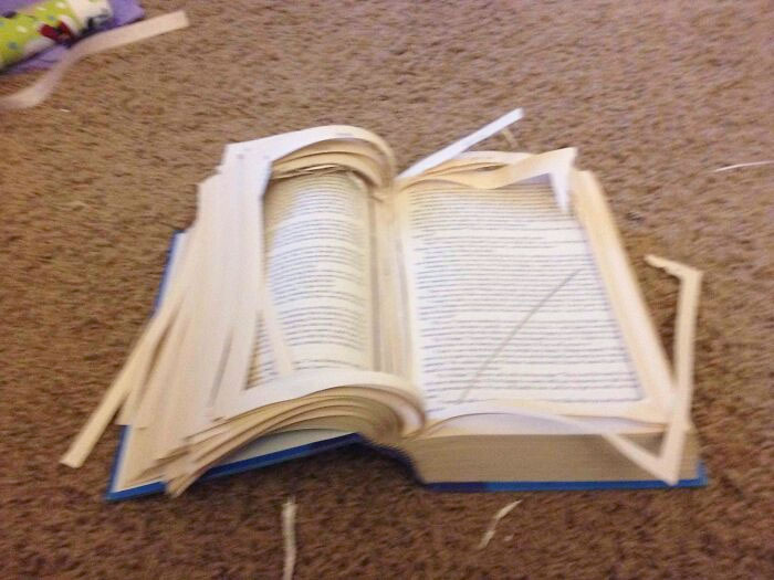 Tried To Make A Hiding Place In A Book 