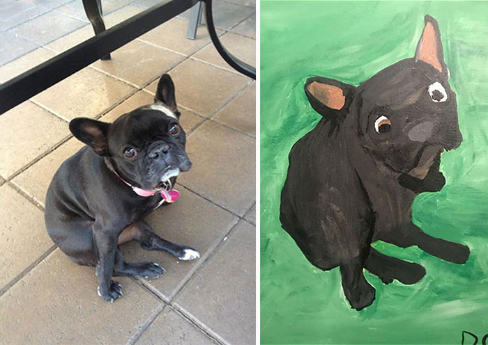 My Boyfriend Painted Our Dog