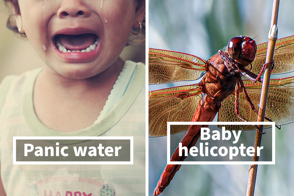 People Share 50 Hilariously Accurate Names Kids Gave Things After Guy  Reveals What His Niece Calls Aquariums | Bored Panda