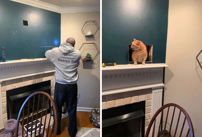 ¿Alguien más ha tenido que hacer un agujero en la pared para sacar a su gato atrapado?
